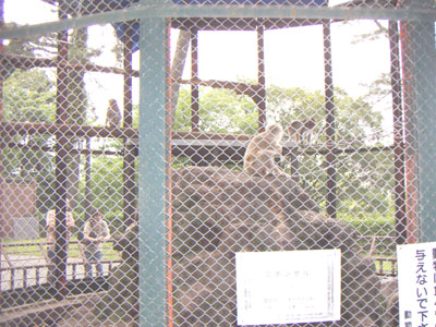 エサをやらないで。