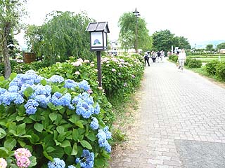 20100613_05.jpg