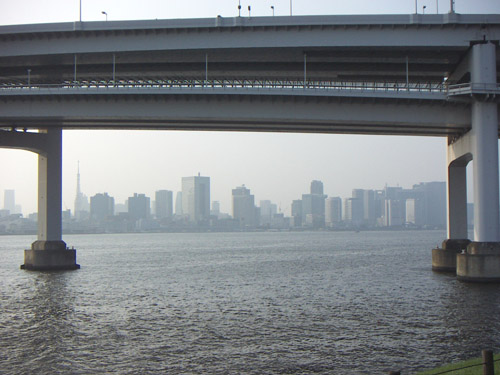 橋の下から晴海地区