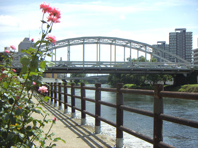 開運橋花壇から