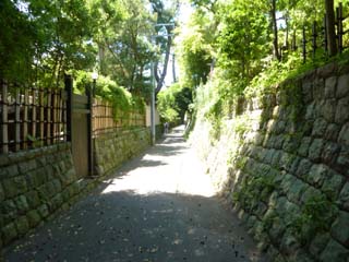 20100718_06.jpg